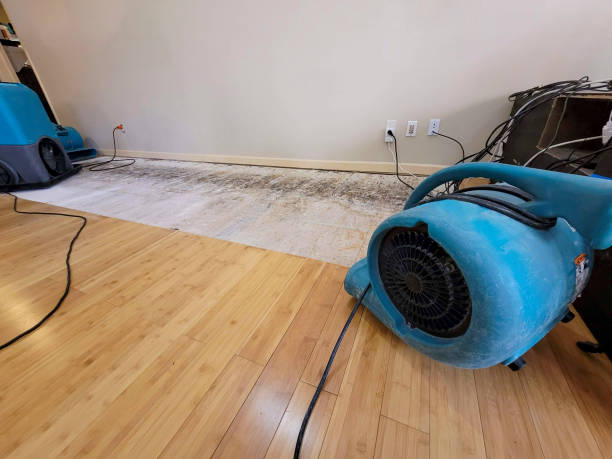 Professional Sewage Cleanup technician working in Dimondale, MI